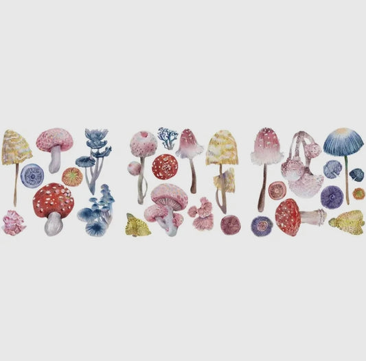 Magiska svampar Decor Transfer – liten